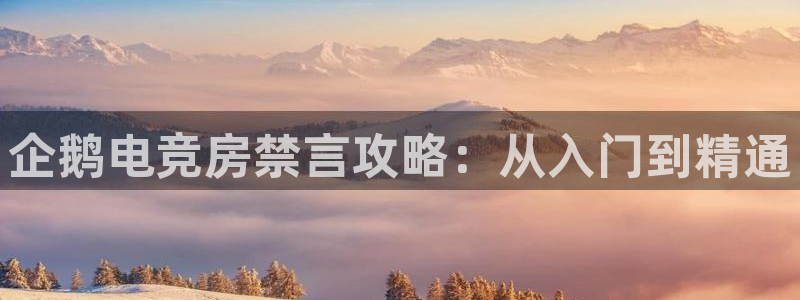 完美电竞世界：企鹅电竞房禁言攻略：从入门到精通
