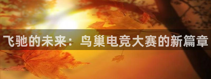 完美电竞官网盛大升级：飞驰的未来：鸟巢电竞大赛的新篇章