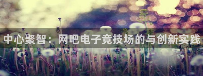 完美电竞大会员