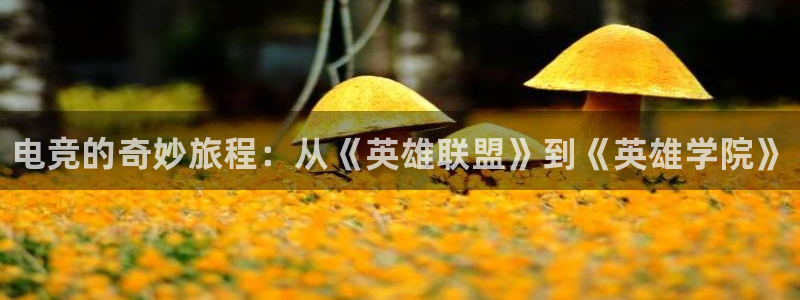 完美电竞手机app：电竞的奇妙旅程：从《英雄联盟》到《英雄学院》