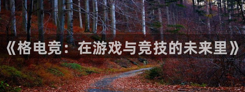 完美电竞app下载：《格电竞：在游戏与竞技的未来里》