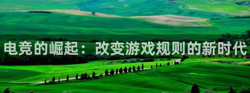 完美电竞官网：电竞的崛起：改变游戏规则的新时代