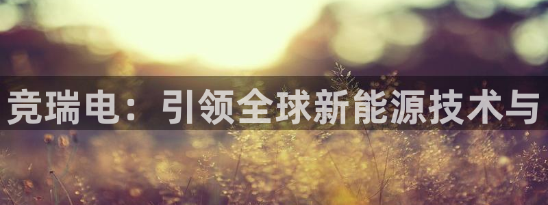 完美电竞官网首页