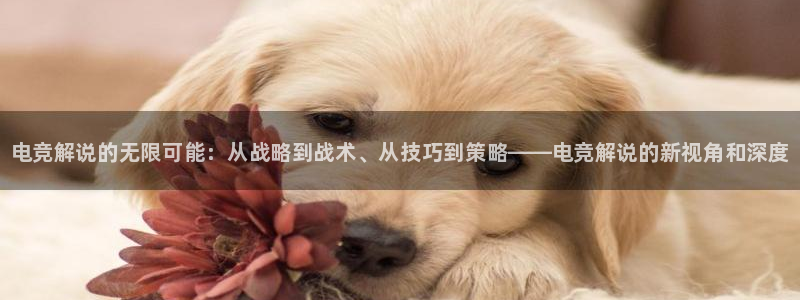 完美电竞平台官网网址：电竞解说的无限可能：从战略到战术、从技巧到策略——电竞解说的新视角和深度
