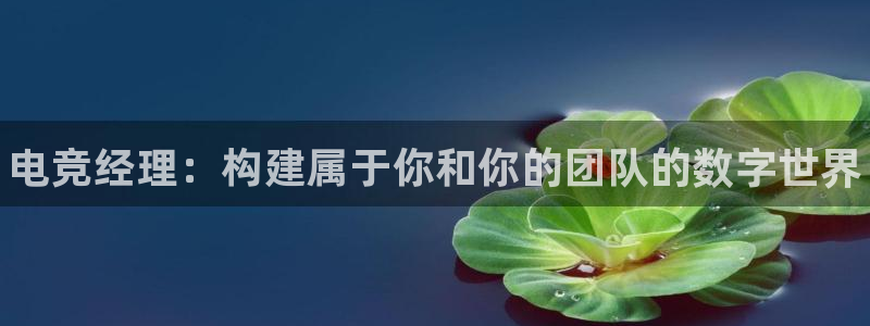 完美电竞cs