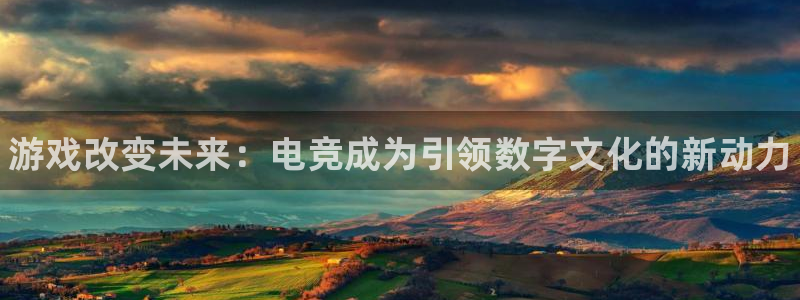完美电竞平台官网