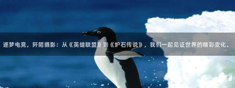 完美电竞平台官网：逐梦电竞，阡陌摄影：从《英雄联盟》到《炉石传说》，我们一起见证世界的精彩变化。