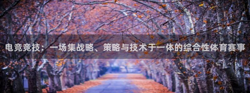 完美电竞注册