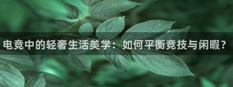 完美电竞官网