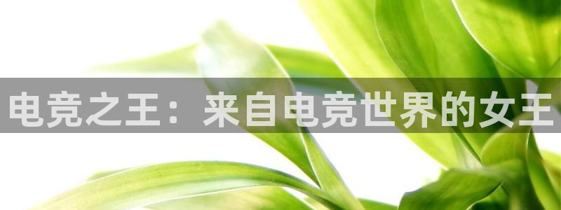 完美电竞绑定steam