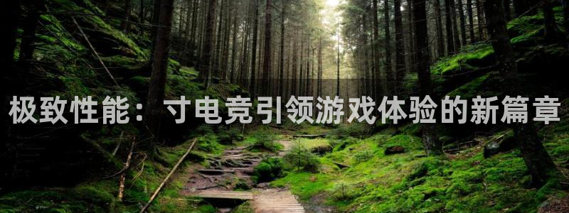 完美电竞查询