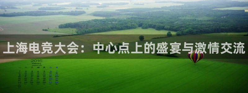 完美电竞账号：上海电竞大会：中心点上的盛宴与激情交流