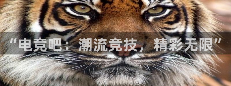 完美电竞cs：“电竞吧：潮流竞技，精彩无限”