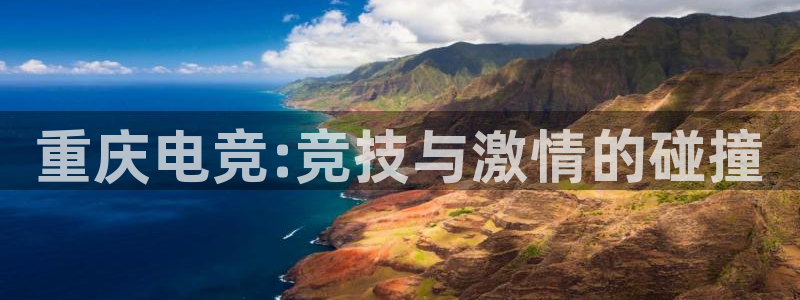 完美电竞查询