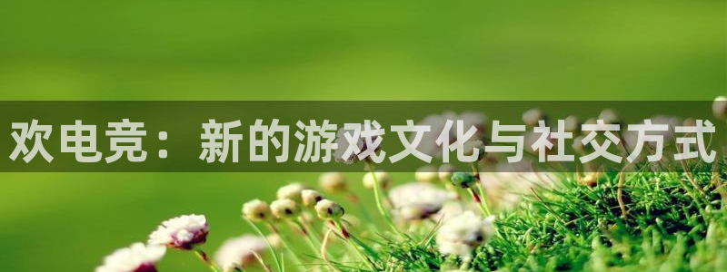 完美电竞注册