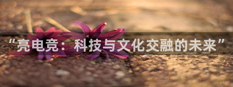 完美电竞注册