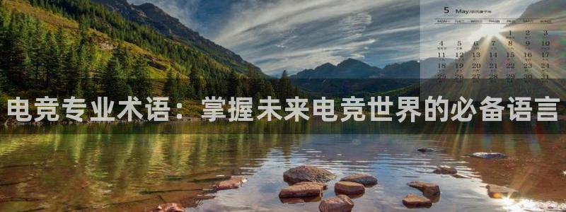 完美电竞官网盛大升级：电竞专业术语：掌握未来电竞世界的必备语言