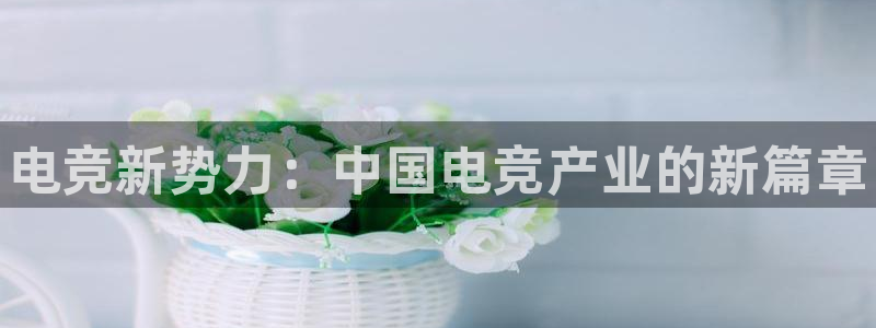 完美电竞世界平台下载：电竞新势力：中国电竞产业的新篇章