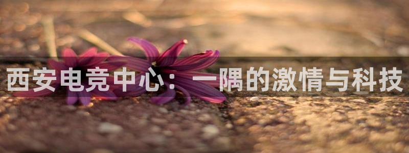 完美电竞世界平台下载：西安电竞中心：一隅的激情与科技