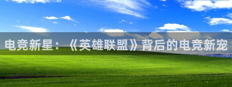 完美电竞官网首页：电竞新星：《英雄联盟》背后的电竞新宠