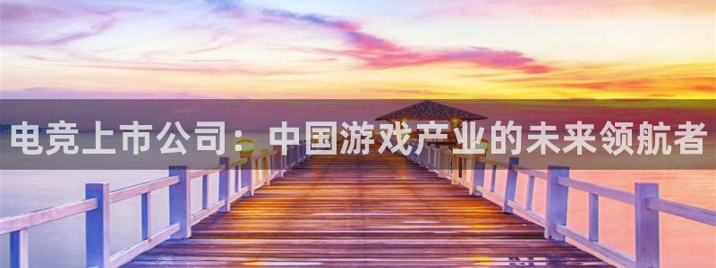 完美电竞对战：电竞上市公司：中国游戏产业的未来领航者