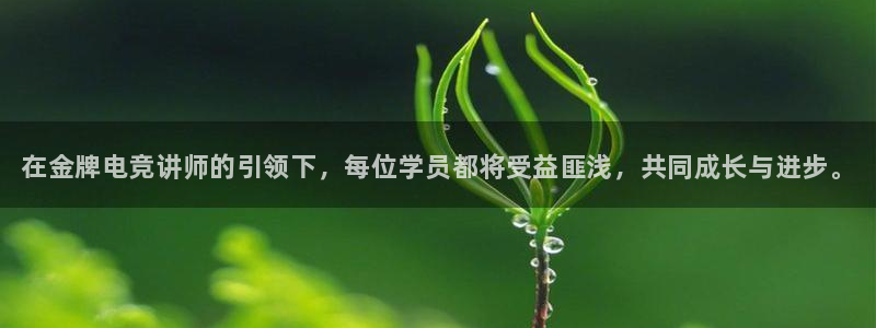 完美电竞对战：在金牌电竞讲师的引领下，每位学员都将受益匪浅，共同成长与进步。