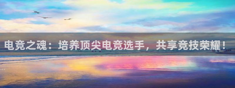 完美电竞查询：电竞之魂：培养顶尖电竞选手，共享竞技荣耀！