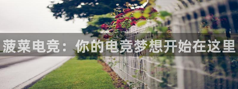 完美电竞app：菠菜电竞：你的电竞梦想开始在这里