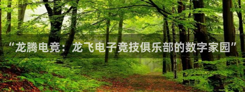 完美电竞平台官网：“龙腾电竞：龙飞电子竞技俱乐部的数字家园”
