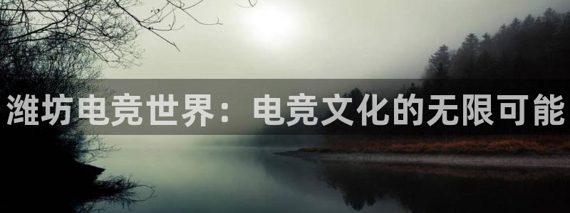 完美电竞app官网：潍坊电竞世界：电竞文化的无限可能