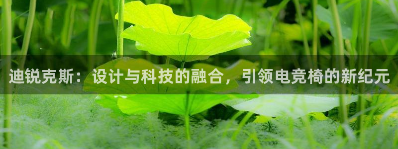 完美电竞app下载：迪锐克斯：设计与科技的融合，引领电竞椅的新纪元