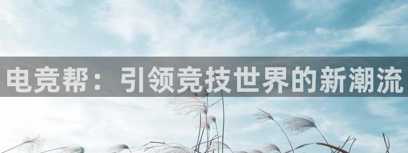 完美电竞下载：电竞帮：引领竞技世界的新潮流