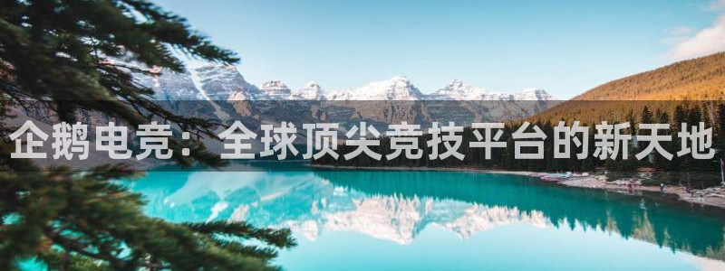 完美电竞联赛：企鹅电竞：全球顶尖竞技平台的新天地