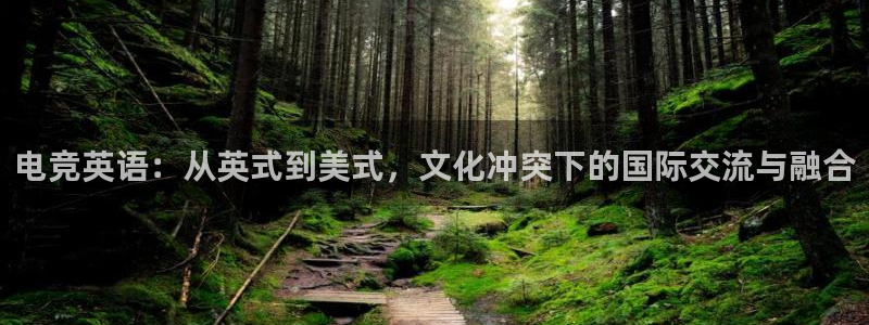 完美电竞app：电竞英语：从英式到美式，文化冲突下的国际交流与融合