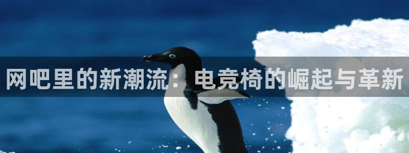 完美电竞手机app：网吧里的新潮流：电竞椅的崛起与革新