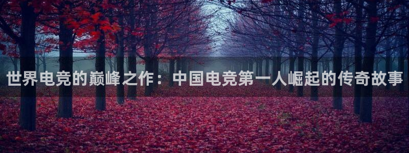 完美电竞直播：世界电竞的巅峰之作：中国电竞第一人崛起的传奇故事