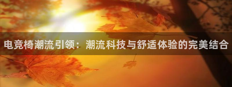 完美电竞平台官网：电竞椅潮流引领：潮流科技与舒适体验的完美结合