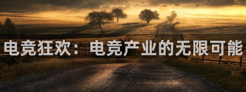 完美电竞对战：电竞狂欢：电竞产业的无限可能