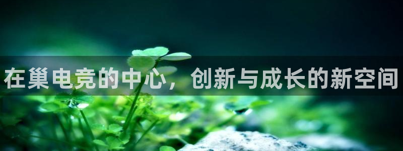 完美电竞官网首页：在巢电竞的中心，创新与成长的新空间