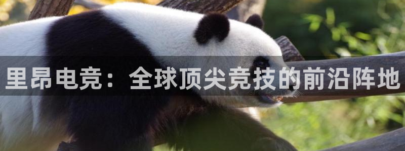 csgo完美电竞平台：里昂电竞：全球顶尖竞技的前沿阵地