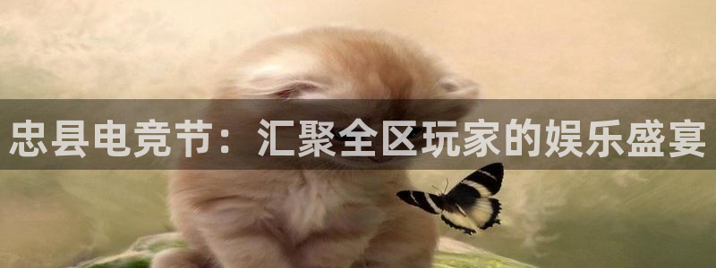 完美电竞直播：忠县电竞节：汇聚全区玩家的娱乐盛宴