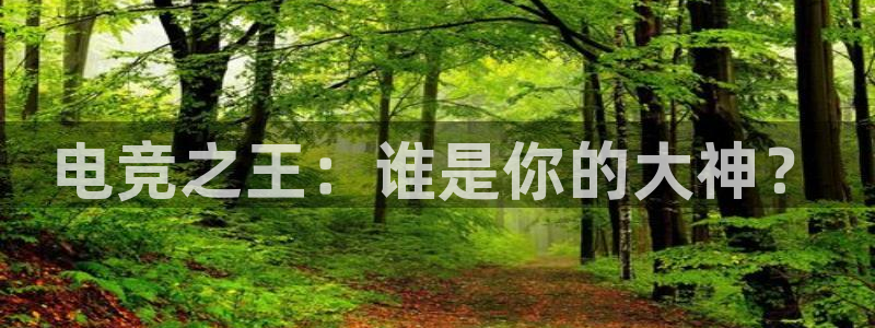 csgo完美电竞：电竞之王：谁是你的大神？