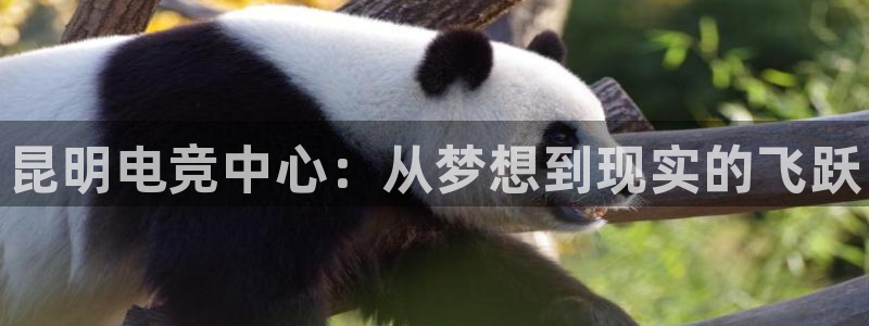 完美电竞对战：昆明电竞中心：从梦想到现实的飞跃