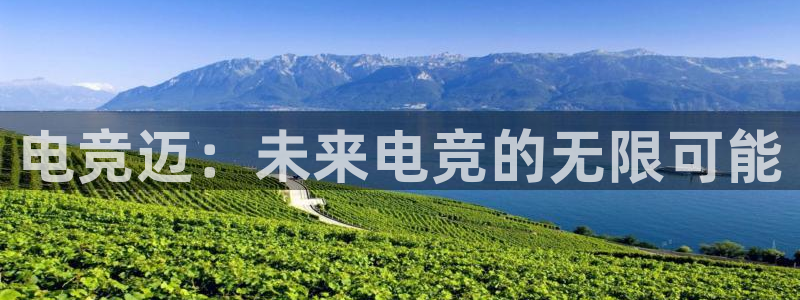 完美电竞绑定steam：电竞迈：未来电竞的无限可能