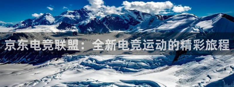 完美电竞世界平台：京东电竞联盟：全新电竞运动的精彩旅程