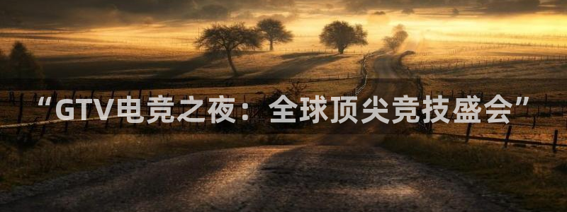 完美电竞app官网：“GTV电竞之夜：全球顶尖竞技盛会”