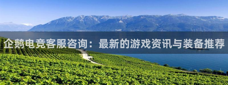 完美电竞cs：企鹅电竞客服咨询：最新的游戏资讯与装备推荐