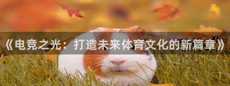 完美电竞对战平台：《电竞之光：打造未来体育文化的新篇章》