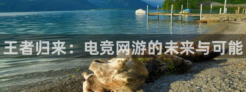 完美电竞平台官网：王者归来：电竞网游的未来与可能