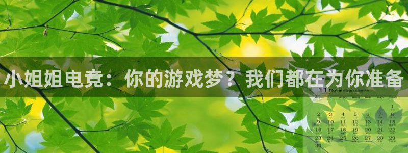 完美电竞世界官网：小姐姐电竞：你的游戏梦？我们都在为你准备
